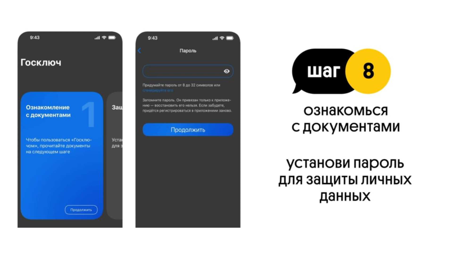 Шаг 8 — установка пароля Госключа